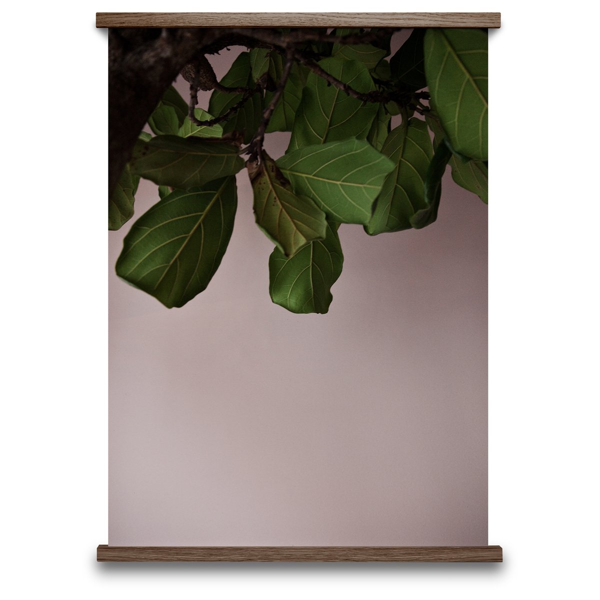 Green Leaves juliste 50x70 cm