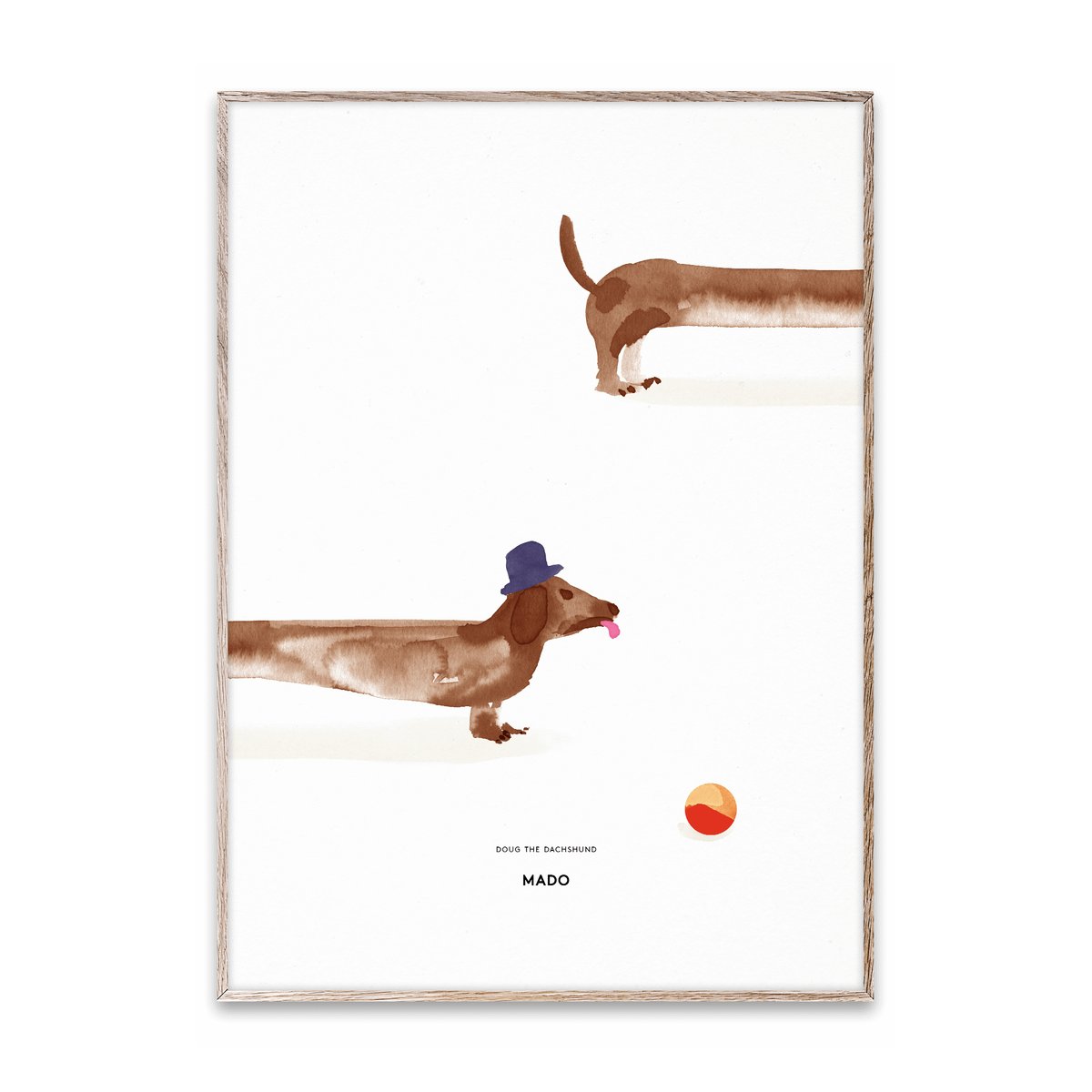 Doug the Dachshund -juliste 50 x 70 cm