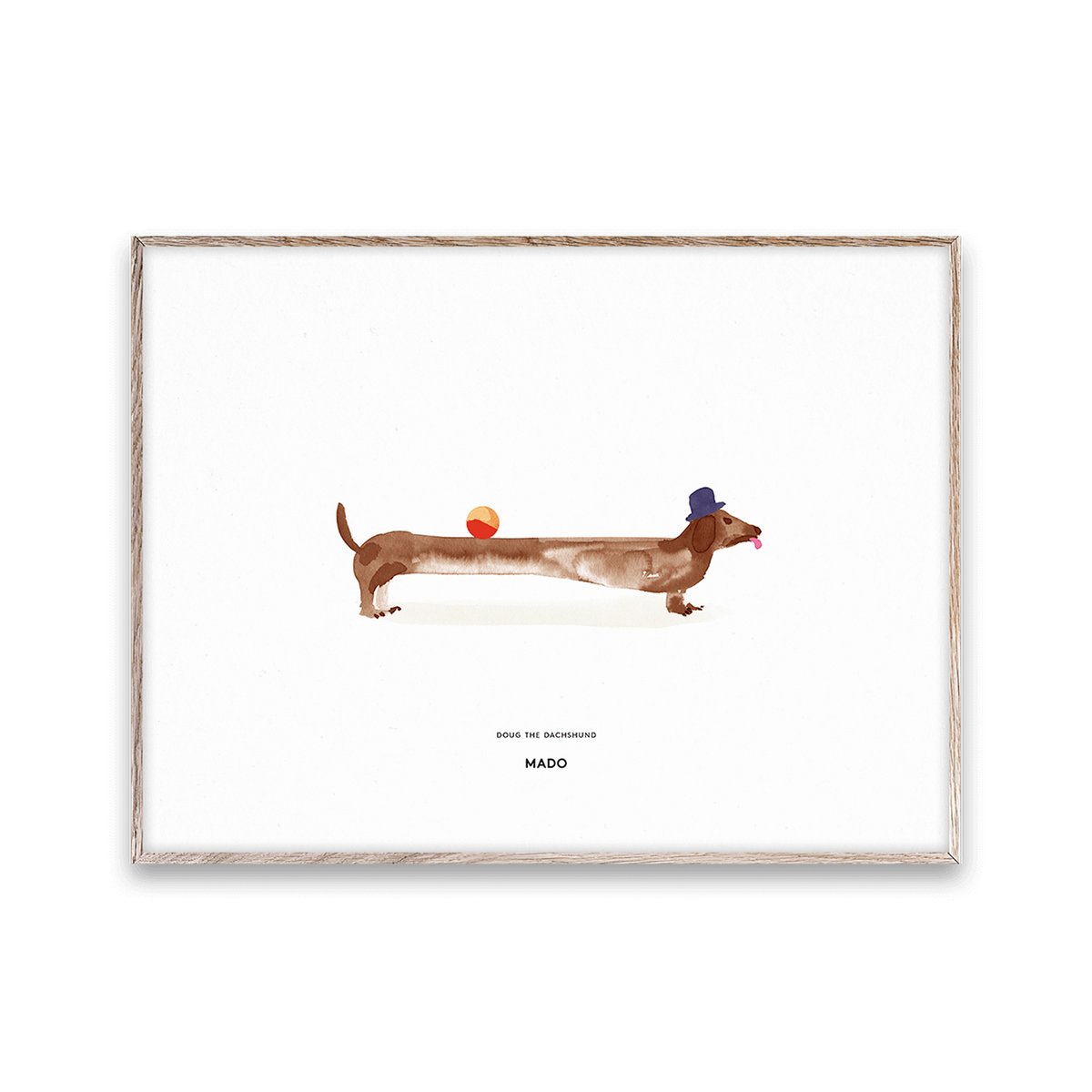 Doug the Dachshund -juliste 30 x 40 cm